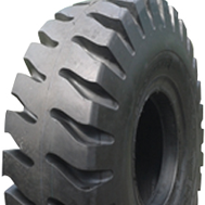 LTJ5